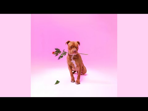 Zee Nxumalo & TBO - Ngisakuthanda (Official Audio) (Edit)