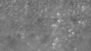 bubbles on electrode surface