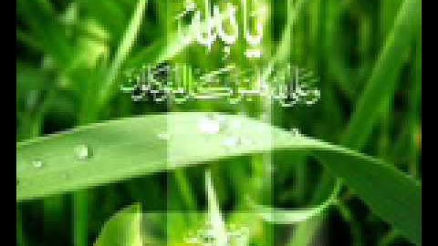 محمود الحمود سورة الملك