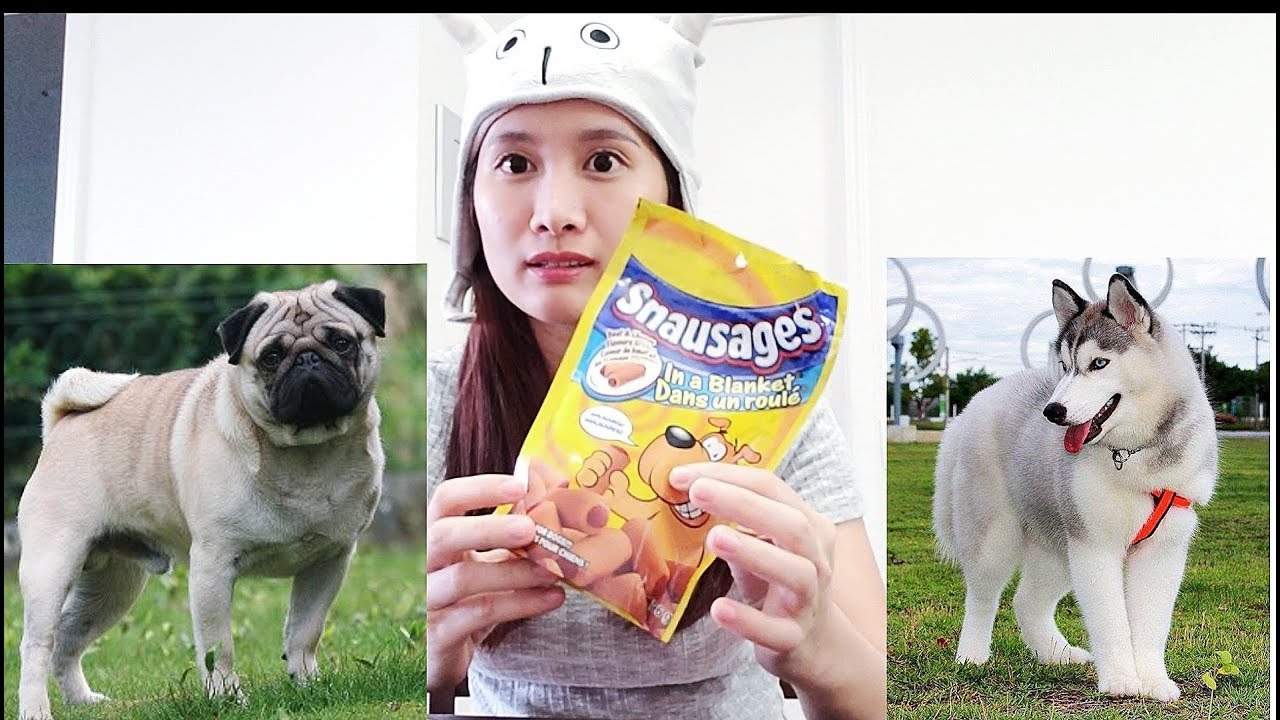 ĂN THỨC ĂN CỦA CHÓ, THỬ THÁCH KINH DỊ - YouTube