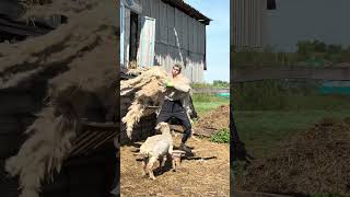 Под этот звук интересней смотрится 😃