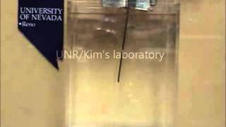 A Ni-doped Ionic Polymer-Metal Composite Actuator