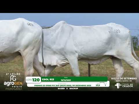 LOTE 120
