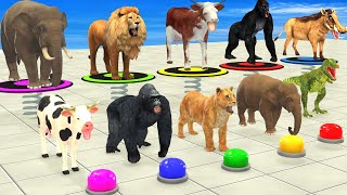 DON'T CHOOSE THE WRONG PATH With Elephant, Cow, Lion, Gorilla Animals Mystery Game Button Challenge