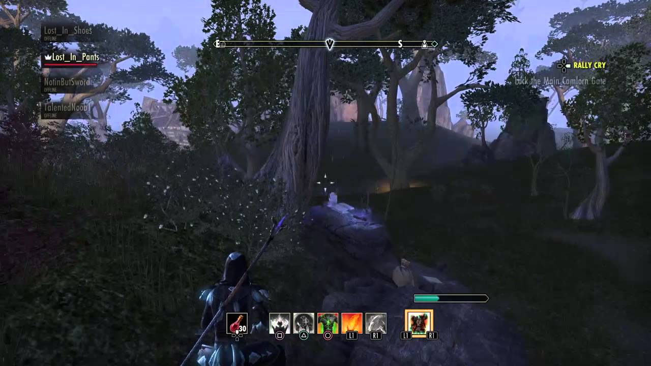 The Elder Scrolls Online - WTF