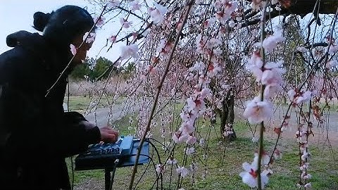 ELEKTRON Model:Cycles 14