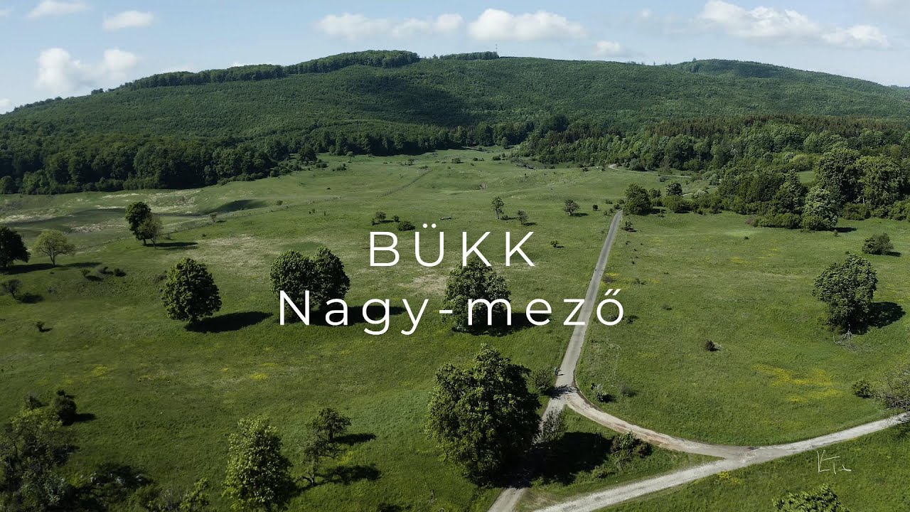 Bükk: Nagy-mező 4K
