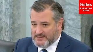 'There Are Real Concerns': Ted Cruz Pushes Amendment To FTC-Related Bill