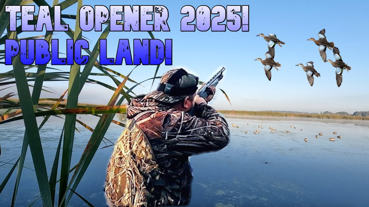Early Teal Opening Day 2025! Duck Hunting Public Land!