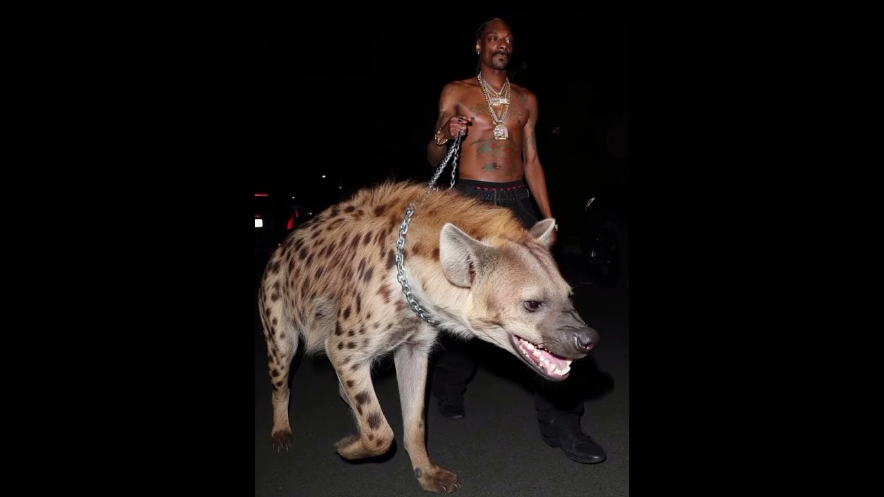 Exodus Quartet - The Far East Coast (Thievery Edit)