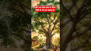 Unique Plant GK Questions | Mind Blowing Nature Facts #gk #facts #education #shorts #youtubeshorts