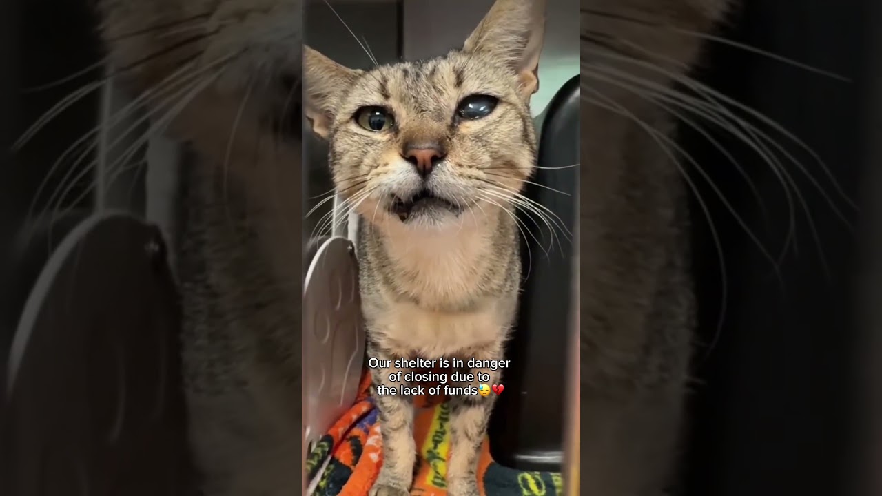 Every donation matters, link in bio🥹❤️