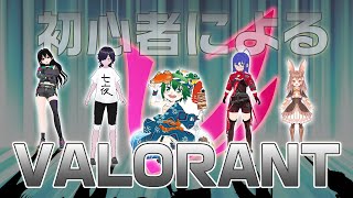 このクソゲーは仲間とやれば楽しいのか検証【VALORANT】