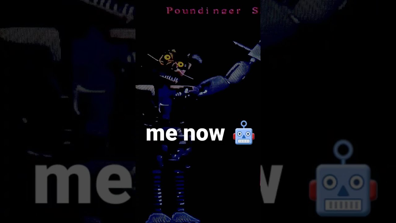 Poundinger Shell Fight Club Night 5