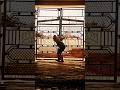 Cricket motivational video #cricket #chaava #shorts