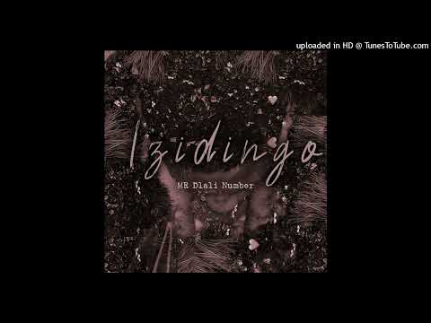 Mr Dlali Number - Izidingo