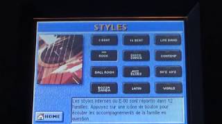 Demo Styles Roland E- 80