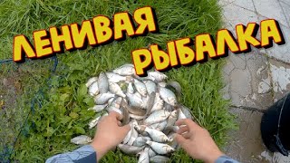 Ловля рыбы в пруду.Поплавок и проверенная ловушка - кормушка с сетью!