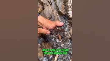 #traditional #goldmining I made $3,000 from gold circuits in coal without anyone knowing #goldrush