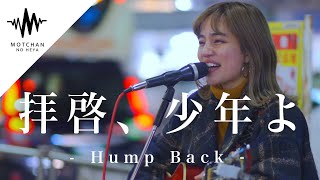 【衝撃】歌い出した瞬間の一声目から鳥肌がやばかった!! 拝啓、少年よ / Hump Back （Covered By Aibry）