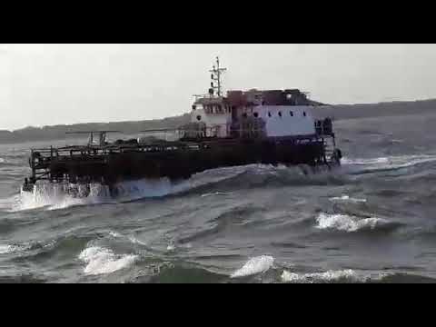 Travessia de Búfalos  ILHA DO MARAJÓ para BELÉM  (continente)