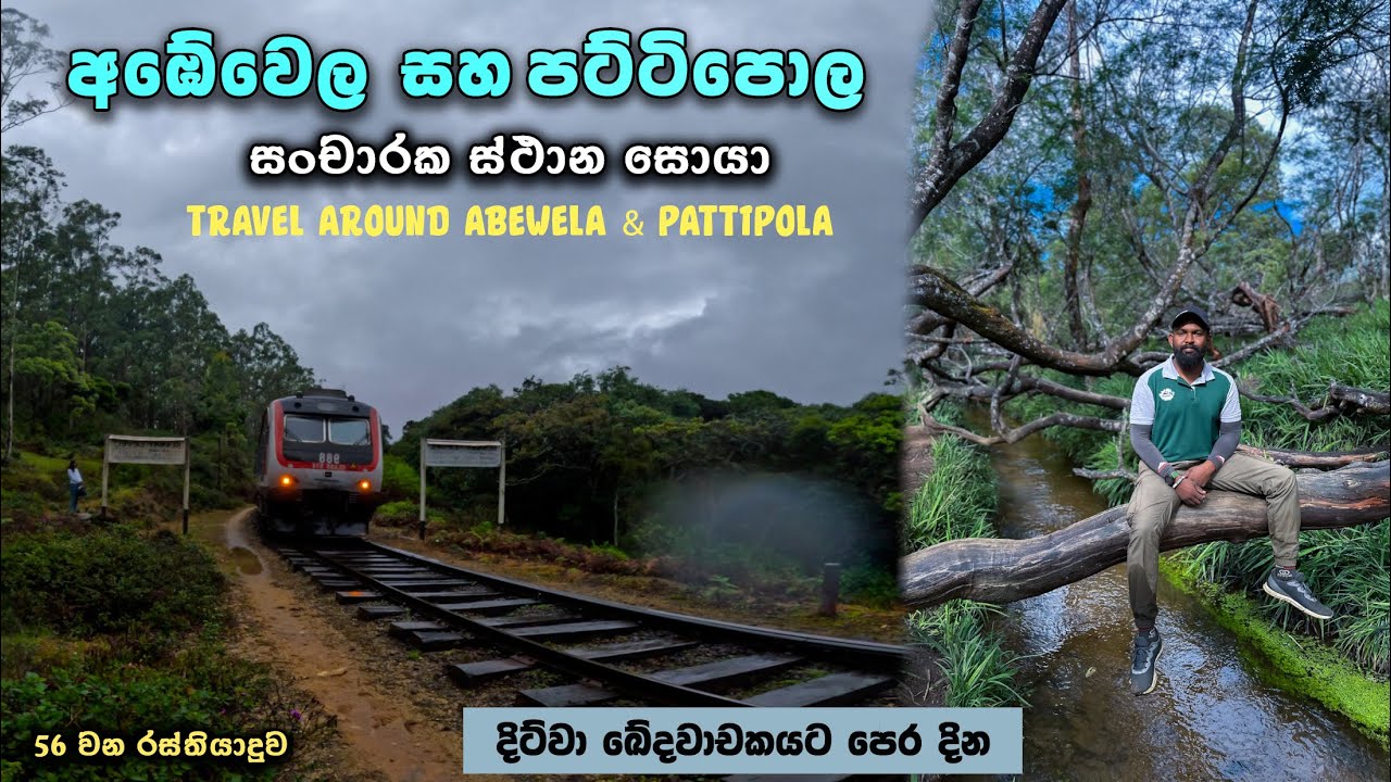 Abewela & Pattipola Travel Places | අඹේවෙල සහ පට්ටිපොල | New Zealand Farm
