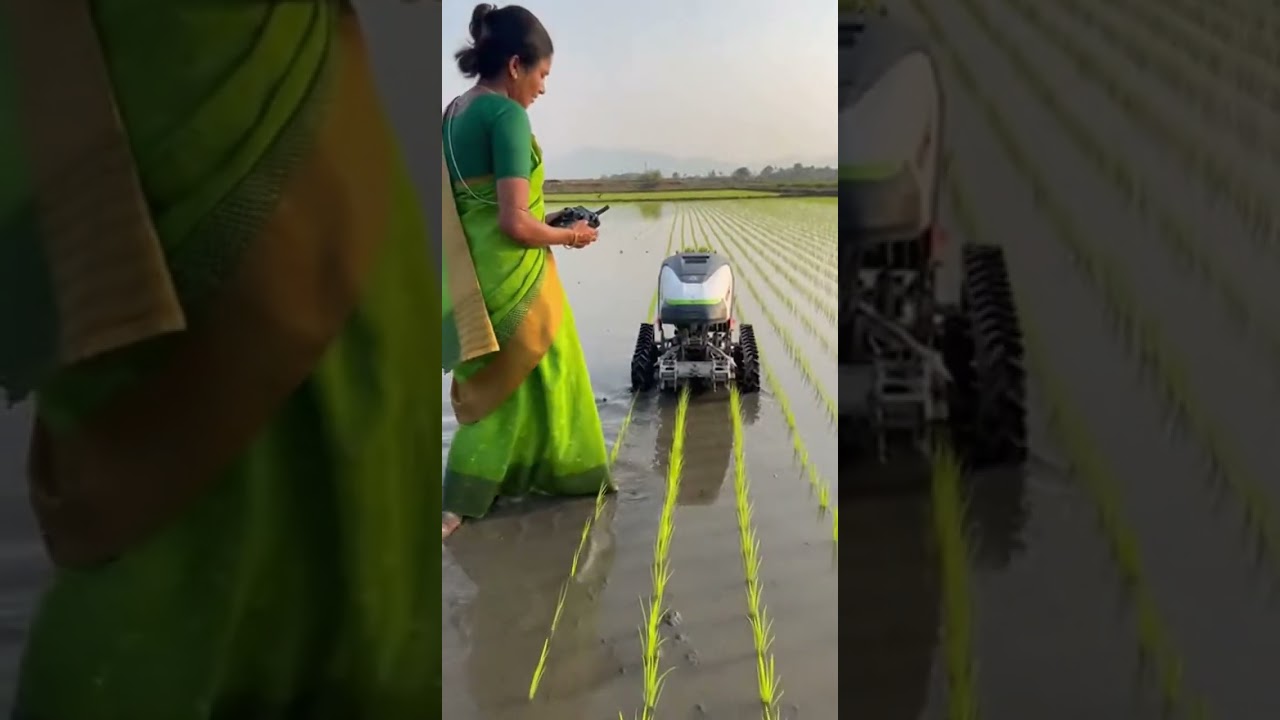 Rice 🌾🌾🌾🌾🌾🌾planting 🚜 High-tech rice planting Revolutionizing farming fast
