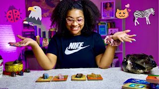 What Spirit Animal Is Guiding You? 🐒🐸🦘 | PICK A CARD 🔮 screenshot 1