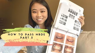 How to PASS National Boards Dental Examination Part 2 || Brittany Goes to Dental School