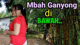 Download Lagu Eyang Sarkowi alias Mbah Ganyong Guru Besar Syekh dan Wali Gunung Nglirip Tuban Cerita Makam miris. MP3