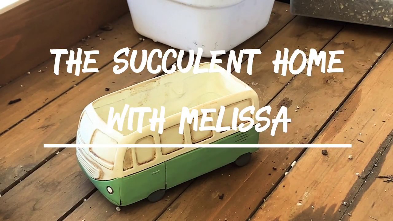 Succulent Pot With Me Video / Special Gift From A Friend