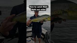 Easiest way to catch Mahi Mahi! #fishing #mahimahi #dolphinfish