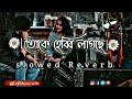 Toke Hebbi Lagche Slowed Reverb ত ক হ ব ব ল গছ র Eskay Ankush Srabanti Bengali Lofi Song