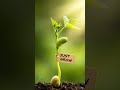 Just grow #shorts