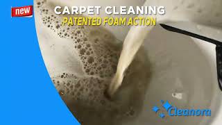 Cleanora Carpet Cleaning