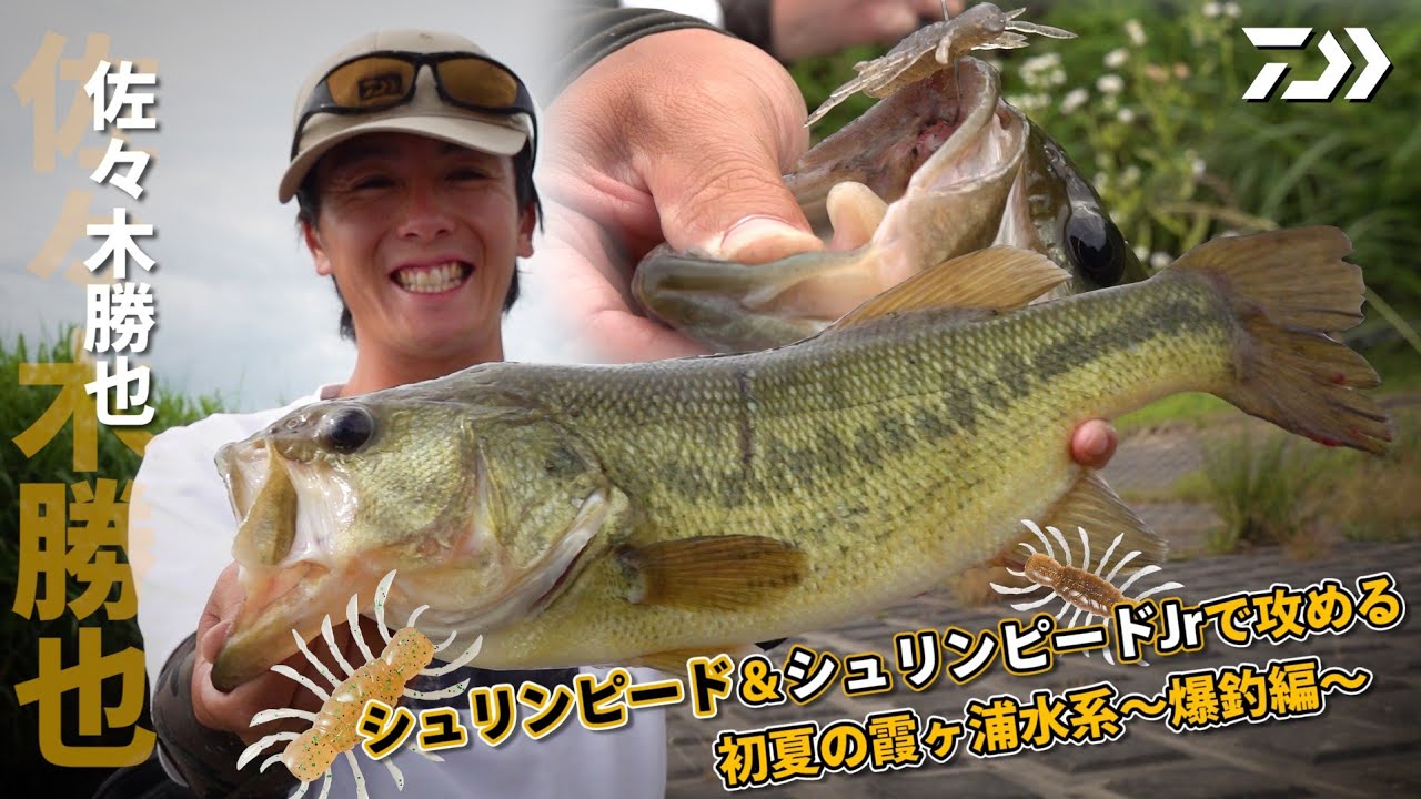 佐々木勝也　シュリンピード＆Jrで攻める初夏の霞ヶ浦水系〜爆釣編〜｜Ultimate BASS by DAIWA Vol.363