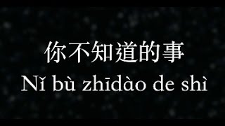 王力宏：你不知道的事 All The Things You Never Knew  (KTV with Pinyin) chords