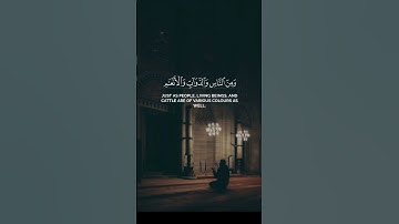 القارئ:ياسر الدوسري ✨️ سورة فاطر #ياسر_الدوسري #سورة_فاطر #كروما_قرانيه #آيات #القرآن_كريم
