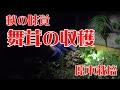 【原木栽培】舞茸（マイタケ）の収穫
