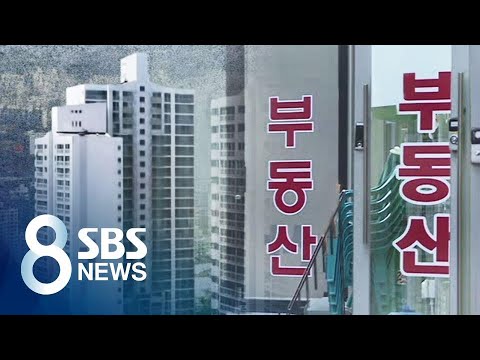 &amp;quot;자금 출처 설명해라&amp;quot;…강남 부동산 시장 &amp;#39;술렁&amp;#39; / SBS