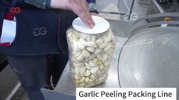 Garlic Peeling  Sorting Packing Machine Line #garlic #peeler #sorting #packing