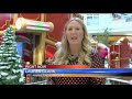 Video: Black Friday on the Suncoast