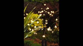 イルミネーション ソーラー 桜 埋込み型 2本セット