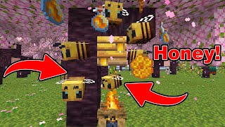 How To Get Honey Blocks, Honey Bottles, Honey Comb And Find Bees Nests in Minecraft | All About Bees