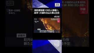 【ニュース】消火活動　援助隊1000人規模へ　岩手・大槌町の山火事4日目 #shorts