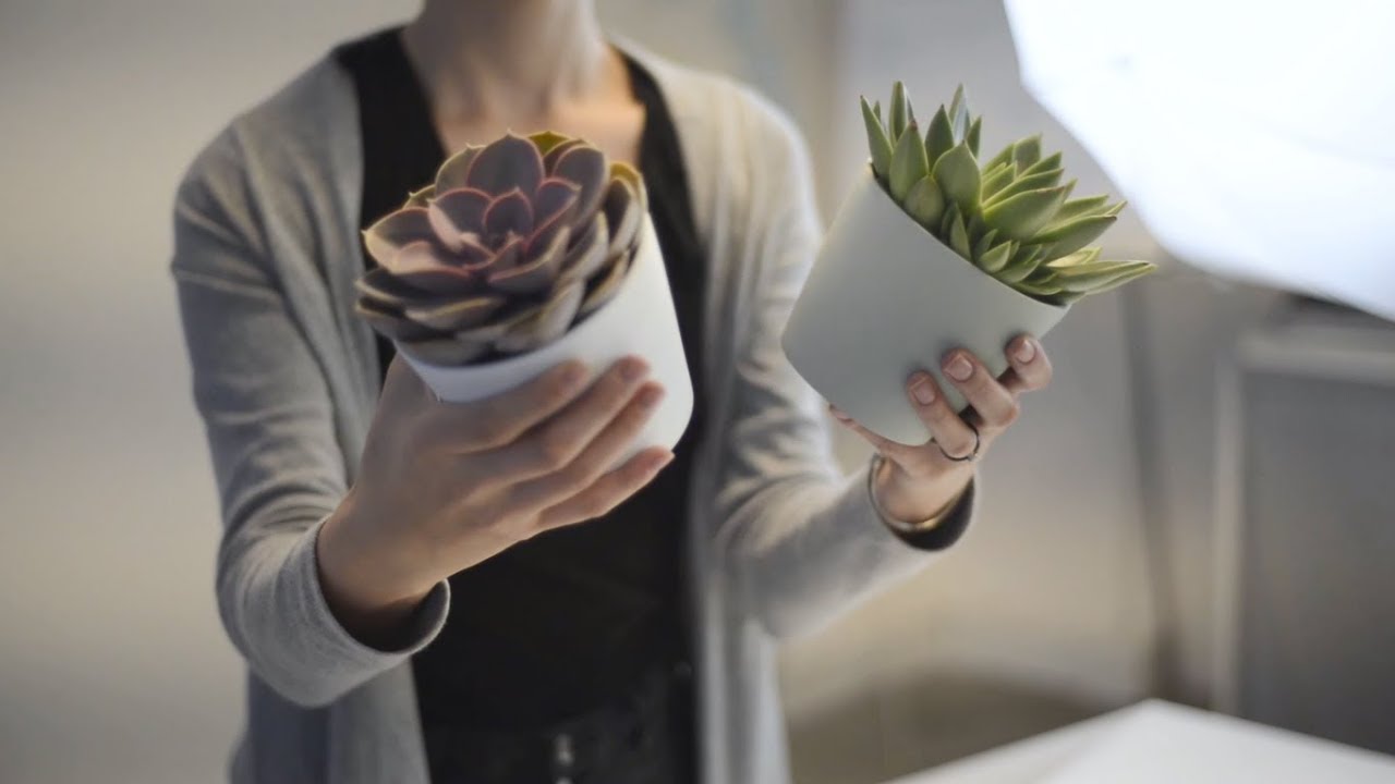 PastBook video shoot | Behind the scenes