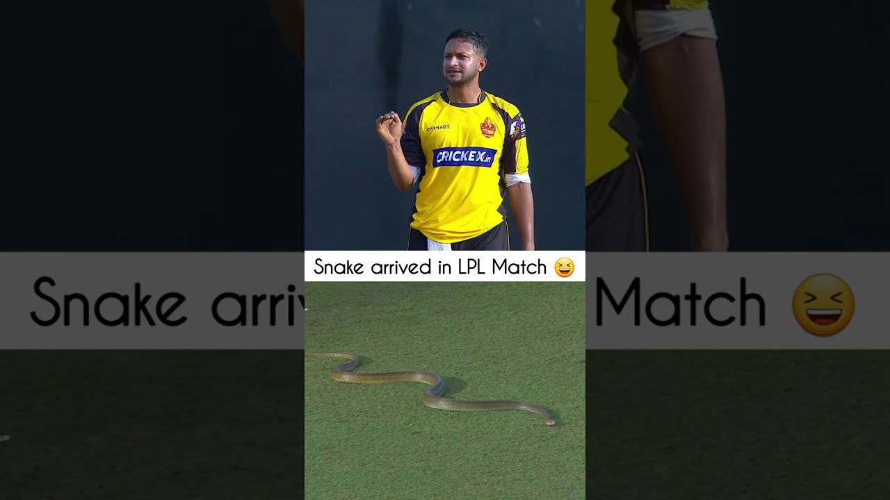 Snake🐍enters in the ground in lankan premier league| 