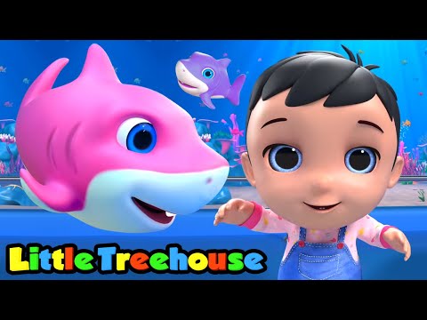 Video Cá mập con | Ca nhạc thiếu nhi | Vần điệu trẻ | Little... - youtube