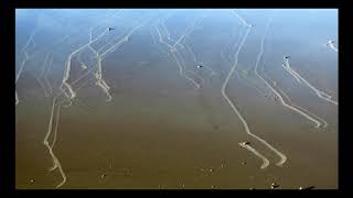 Hareket Eden Taşlar Türkçe