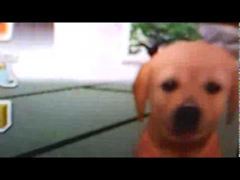 Comment obtenir votre nintendogs de faire un handstand